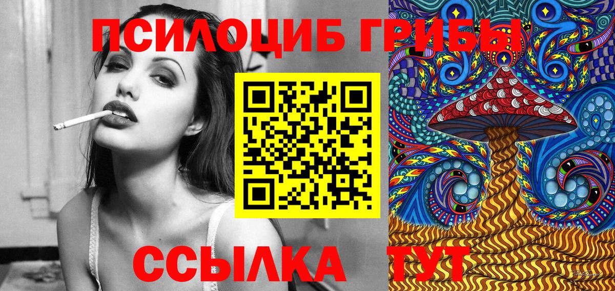 Галлюциногенные грибы Cubensis Дедовск