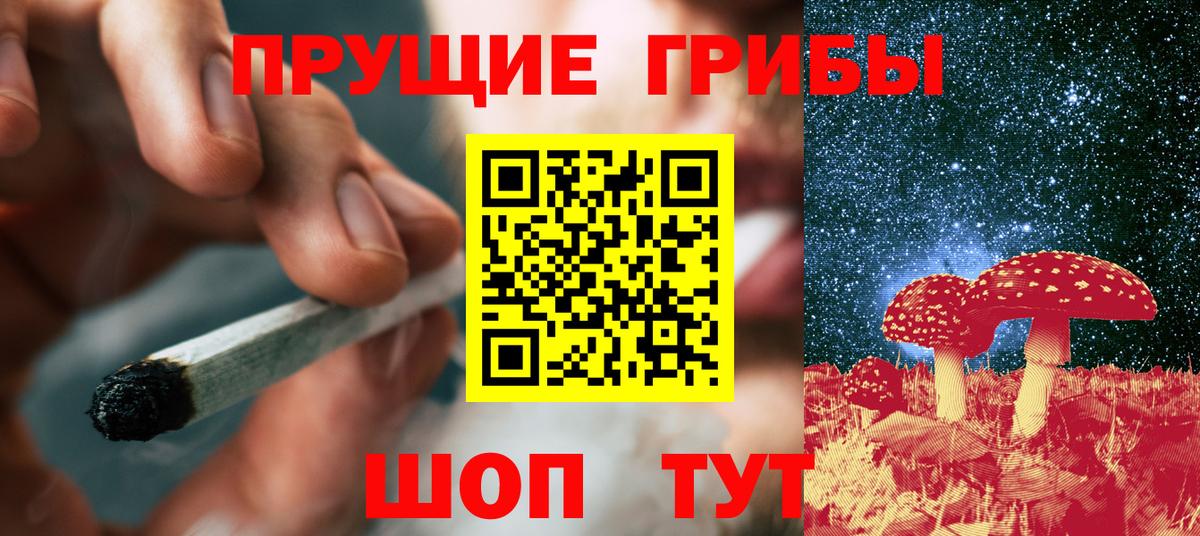 Галлюциногенные грибы MAGIC MUSHROOMS  Псилоцибиновые грибы Psilocybine cubensis  Вход с VPN  Дедовск 